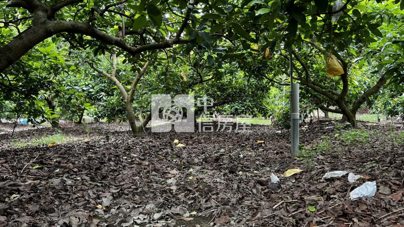 大內近南瀛天文館有水電農地房屋室內格局與周邊環境