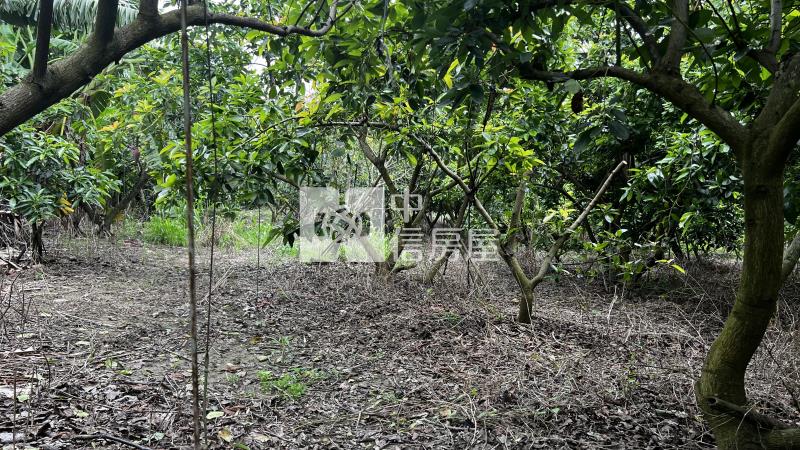 大內近南瀛天文館有水電農地房屋室內格局與周邊環境