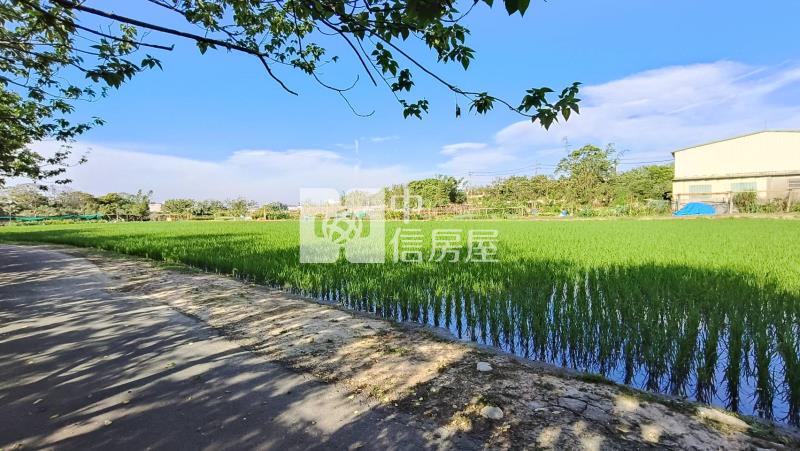 北商段東豐路農地.近三興路(持分)房屋室內格局與周邊環境