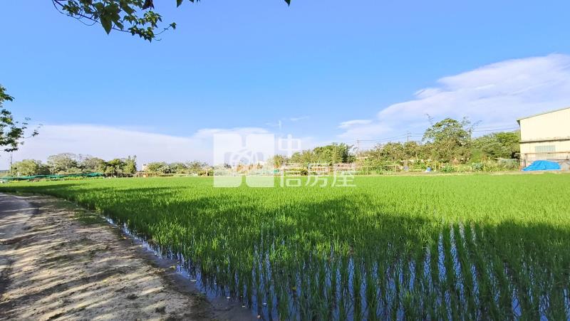 北商段東豐路農地.近三興路(持分)房屋室內格局與周邊環境