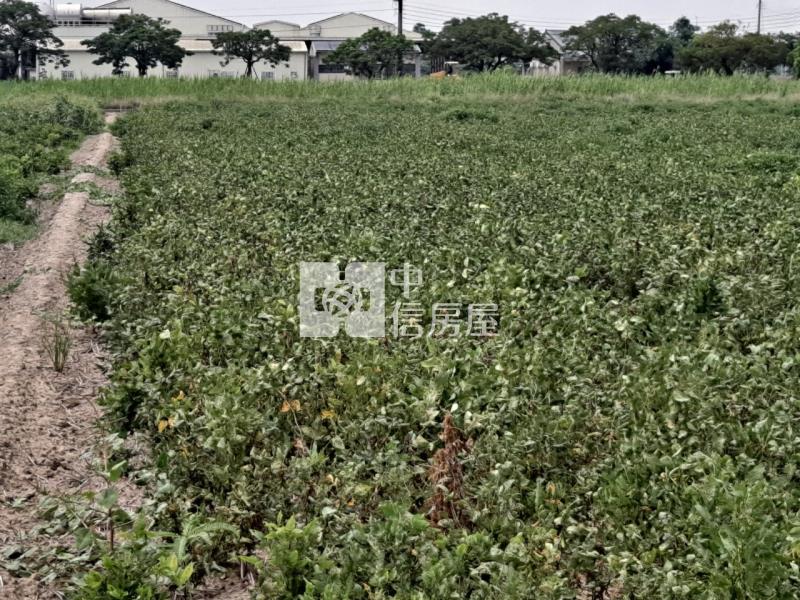 六甲菁埔2分美農地房屋室內格局與周邊環境