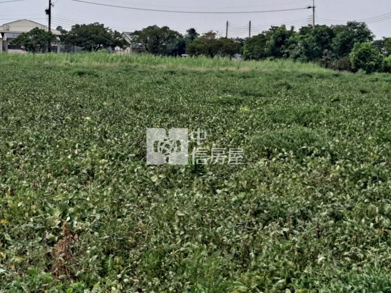 六甲菁埔2分美農地房屋室內格局與周邊環境