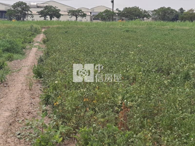 六甲菁埔2分美農地房屋室內格局與周邊環境