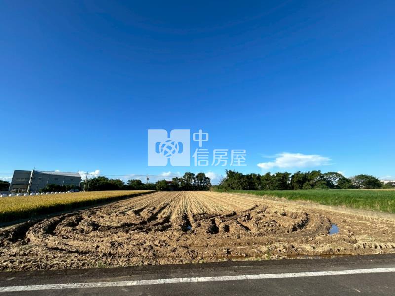 新屋埔頂路美農地803坪．雙面臨路．近市區房屋室內格局與周邊環境