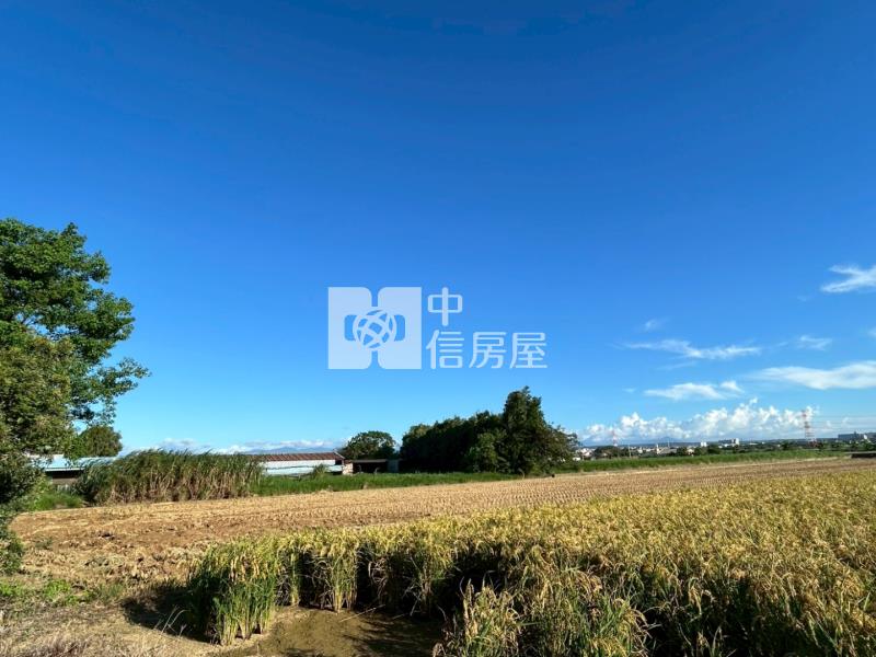 新屋埔頂路美農地803坪．雙面臨路．近市區房屋室內格局與周邊環境