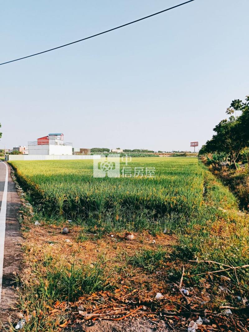 水上下塗溝農地(二)房屋室內格局與周邊環境
