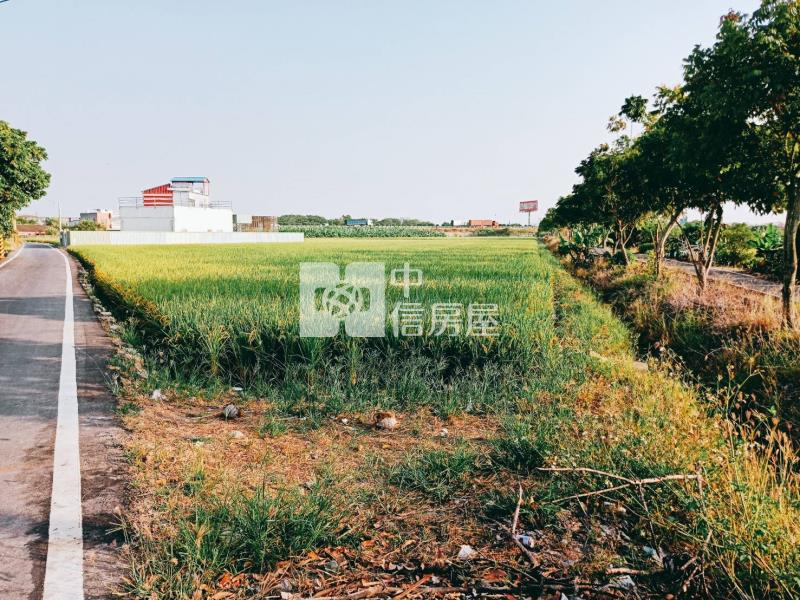 水上下塗溝農地(二)房屋室內格局與周邊環境