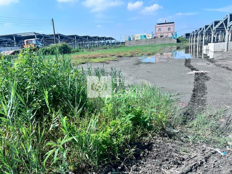 台西五港農保地房屋室內格局與周邊環境