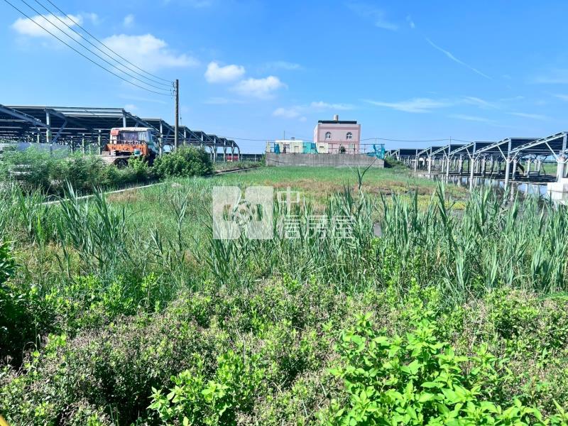 台西五港農保地房屋室內格局與周邊環境