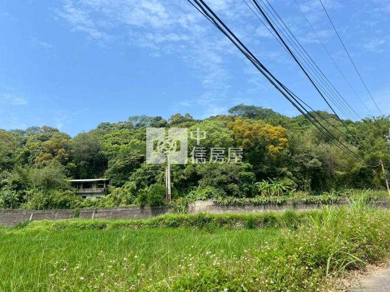 苑裡 農地+建地(有合法建物)房屋室內格局與周邊環境