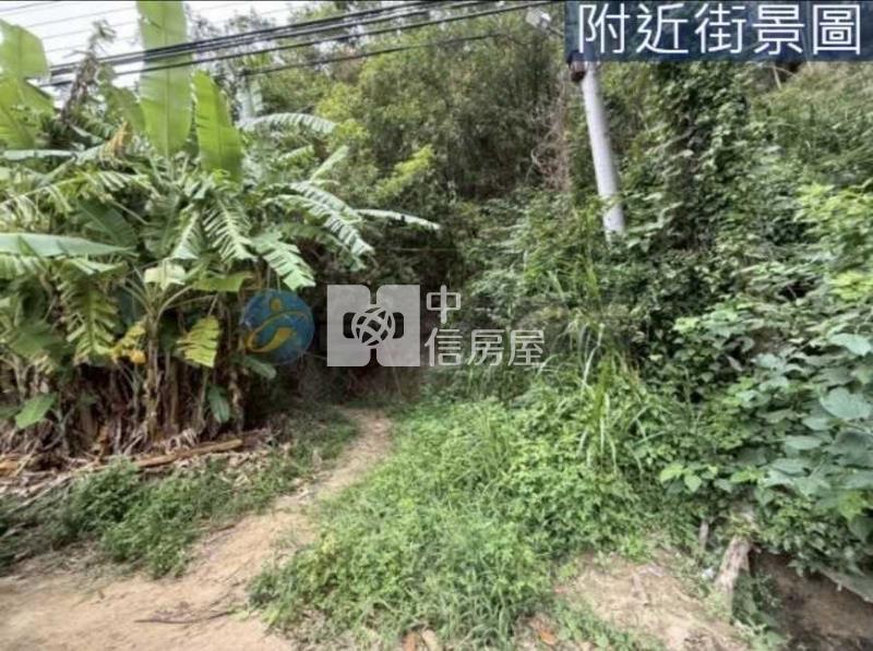 苑裡 農地+建地(有合法建物)房屋室內格局與周邊環境