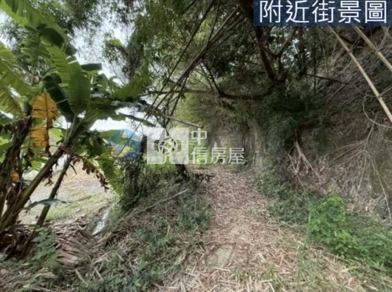 苑裡 農地+建地(有合法建物)房屋室內格局與周邊環境