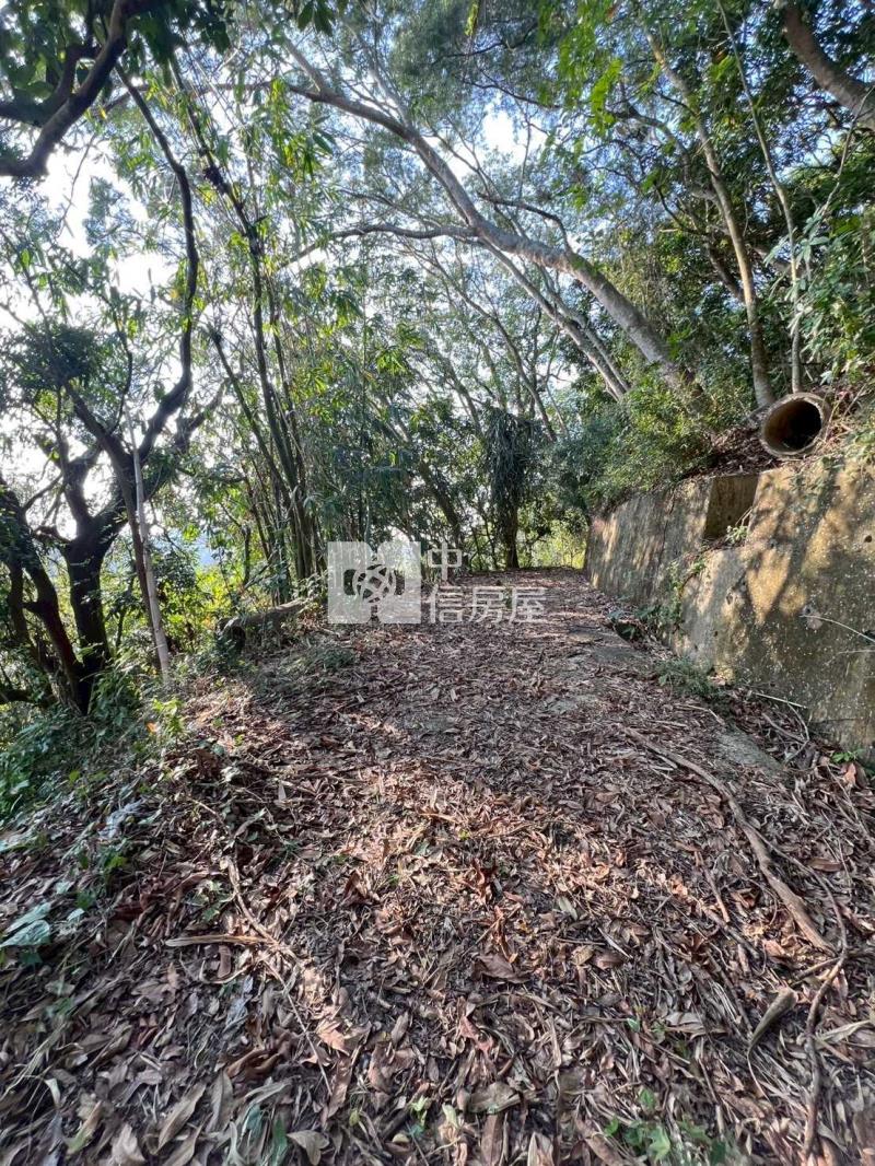 苑裡 農地+建地(有合法建物)房屋室內格局與周邊環境