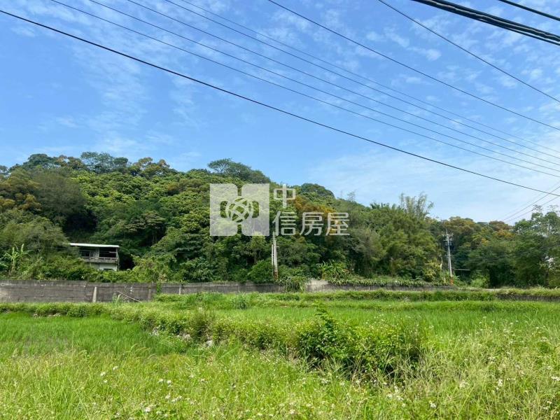 苑裡 農地+建地(有合法建物)房屋室內格局與周邊環境