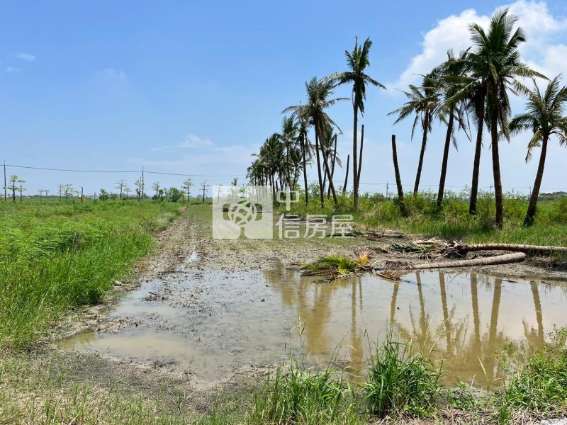 七股前後臨路便宜美農地房屋室內格局與周邊環境