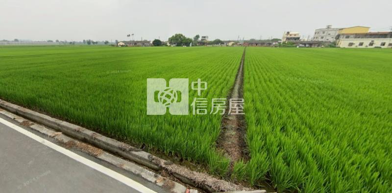 彰化埤頭溪底路旁22米大面寬3.2分方正美農地房屋室內格局與周邊環境