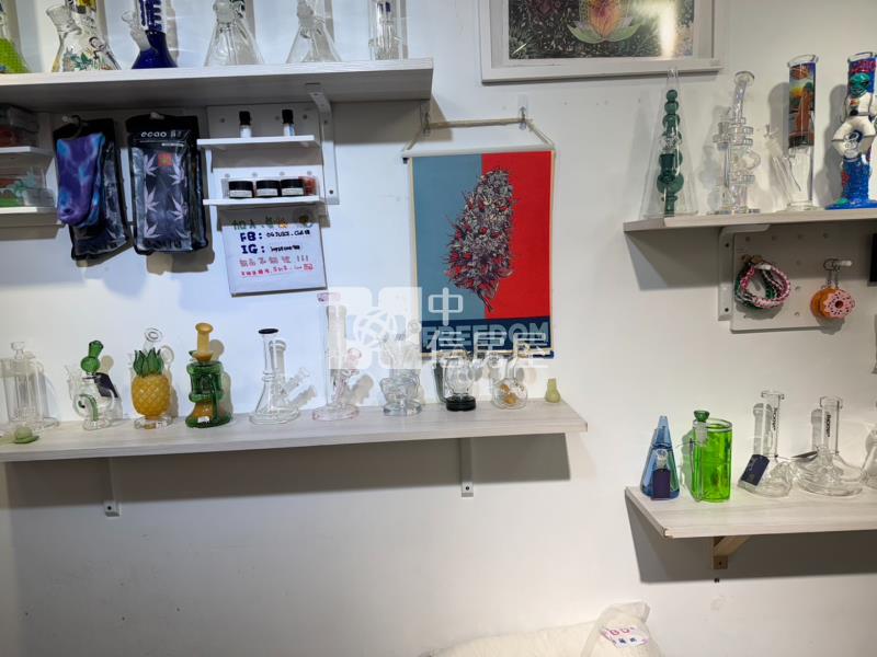 中原稀有收租產品房屋室內格局與周邊環境