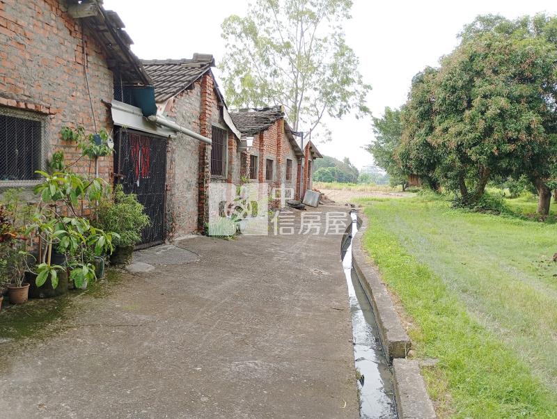 中投旁收租農地房屋室內格局與周邊環境