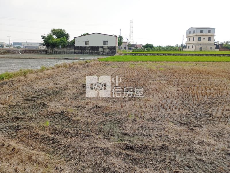 中投旁收租農地房屋室內格局與周邊環境