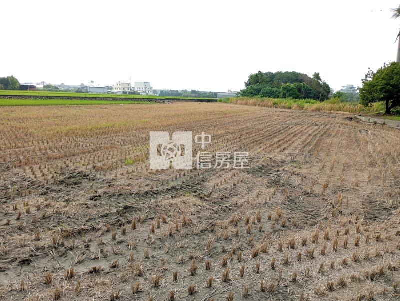 中投旁收租農地房屋室內格局與周邊環境