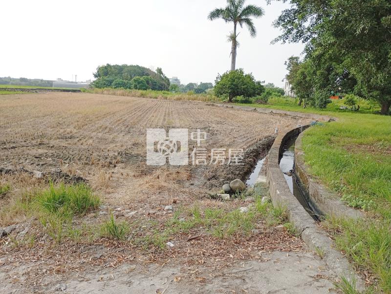 中投旁收租農地房屋室內格局與周邊環境