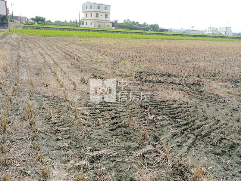 中投旁收租農地房屋室內格局與周邊環境