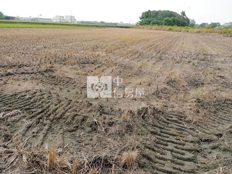 中投旁收租農地房屋室內格局與周邊環境