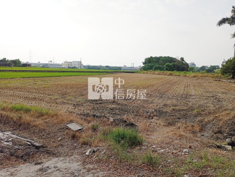 中投旁收租農地房屋室內格局與周邊環境