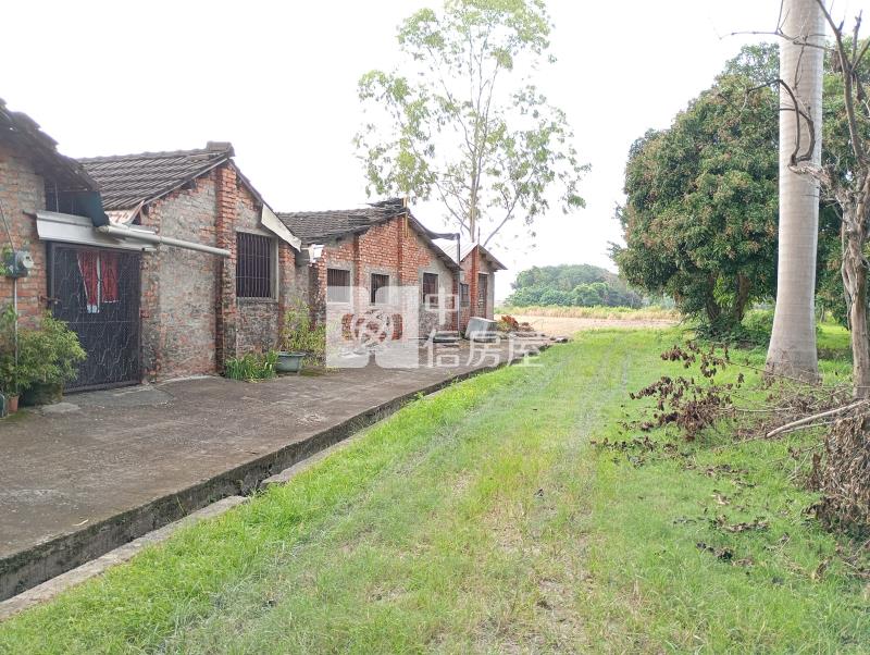 中投旁收租農地房屋室內格局與周邊環境