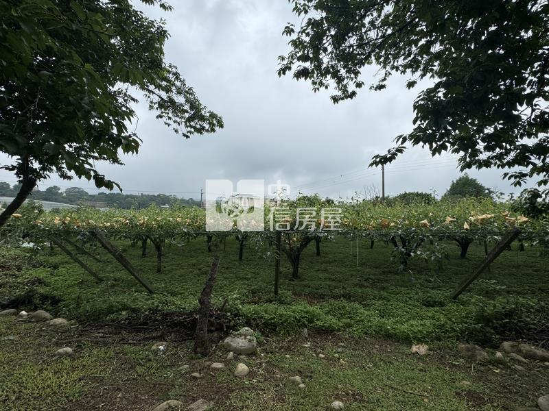 新社平坦美農地房屋室內格局與周邊環境