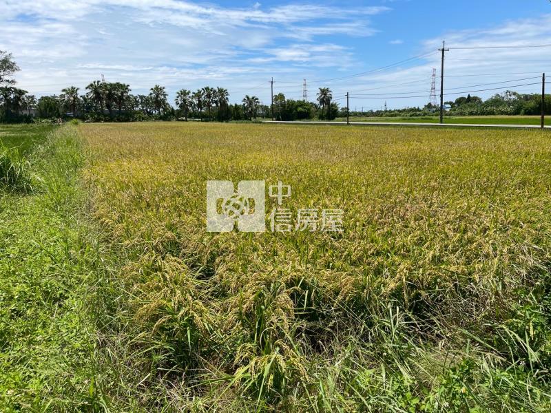 新屋-東興路農地房屋室內格局與周邊環境