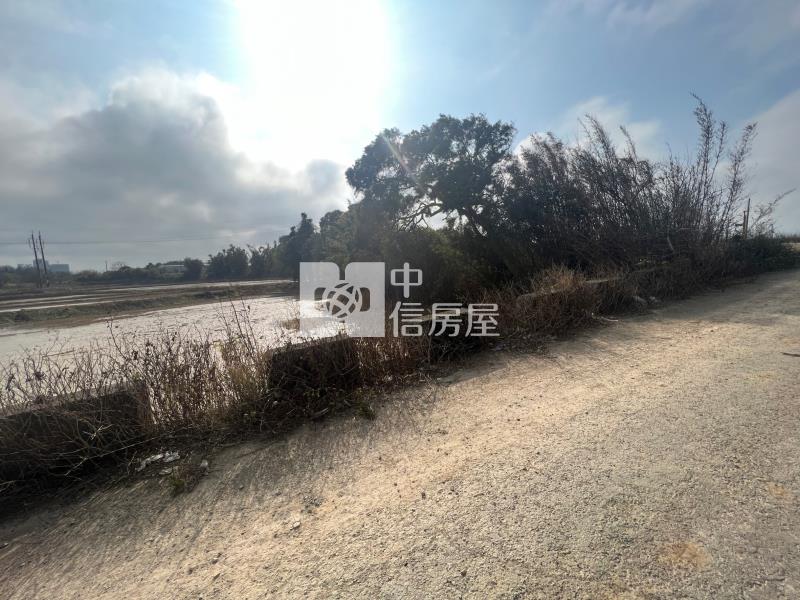 近青埔洽溪超值美農地房屋室內格局與周邊環境
