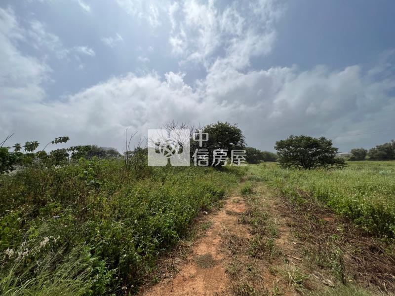 近青埔洽溪超值美農地房屋室內格局與周邊環境