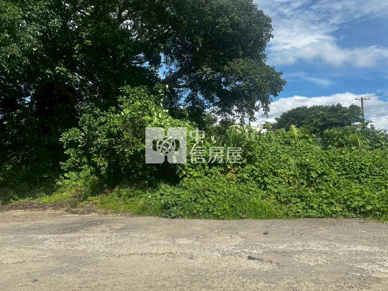 大溪交流道美農地房屋室內格局與周邊環境