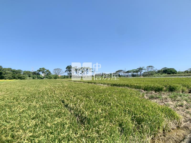 正高鐵南路前後臨路農房屋室內格局與周邊環境