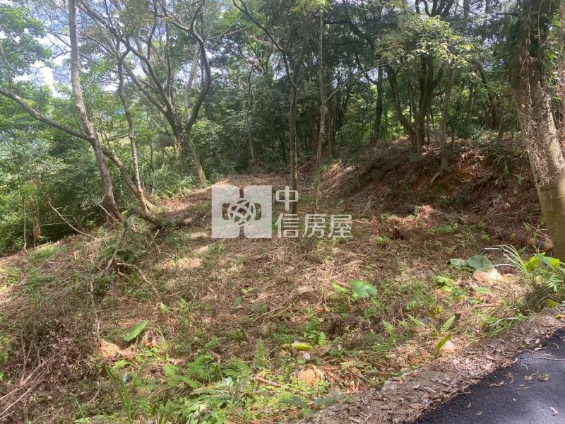 新竹關西山坡地保育區農牧用地房屋室內格局與周邊環境