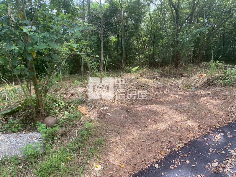新竹關西山坡地保育區農牧用地房屋室內格局與周邊環境