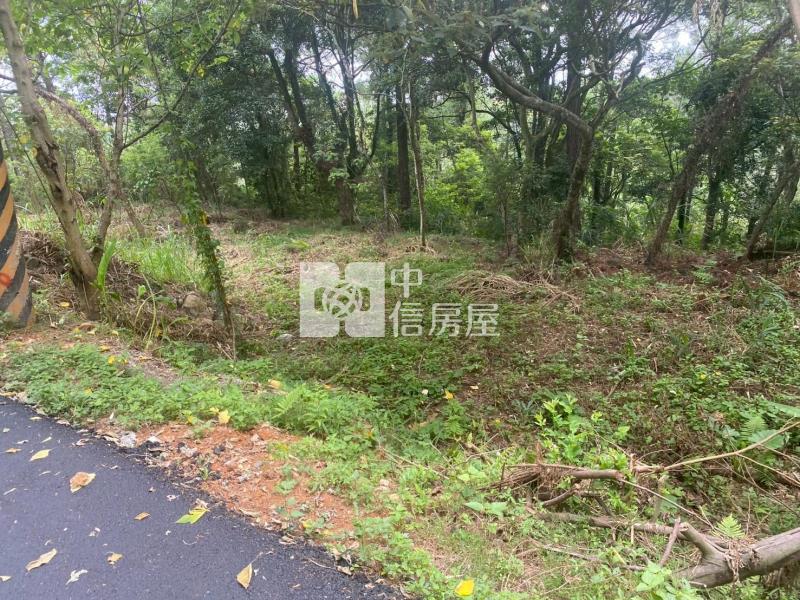 新竹關西山坡地保育區農牧用地房屋室內格局與周邊環境