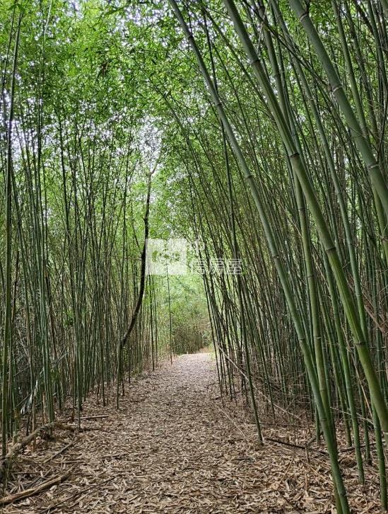 南庄田美-獨有臨溪度假別墅房屋室內格局與周邊環境