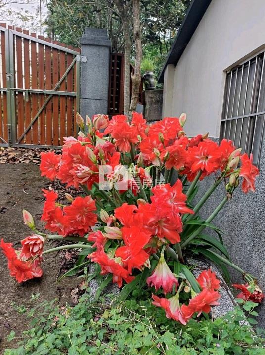 南庄田美-獨有臨溪度假別墅房屋室內格局與周邊環境