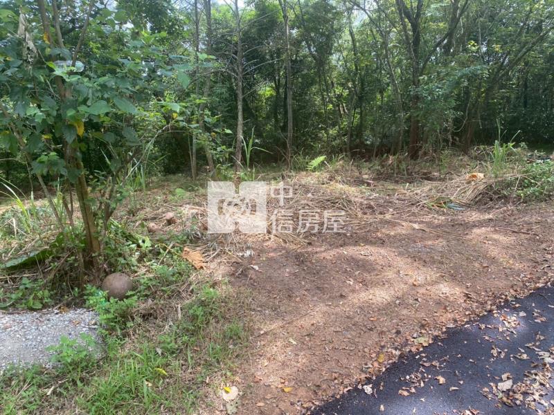 關西大東坑美農地房屋室內格局與周邊環境