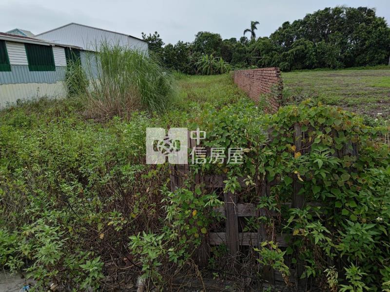 近永大路市地重劃中投資首選房屋室內格局與周邊環境
