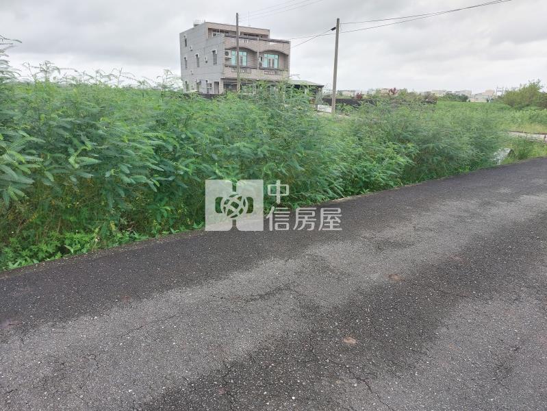 鹽水中洲寮小而美雙面臨路農地房屋室內格局與周邊環境