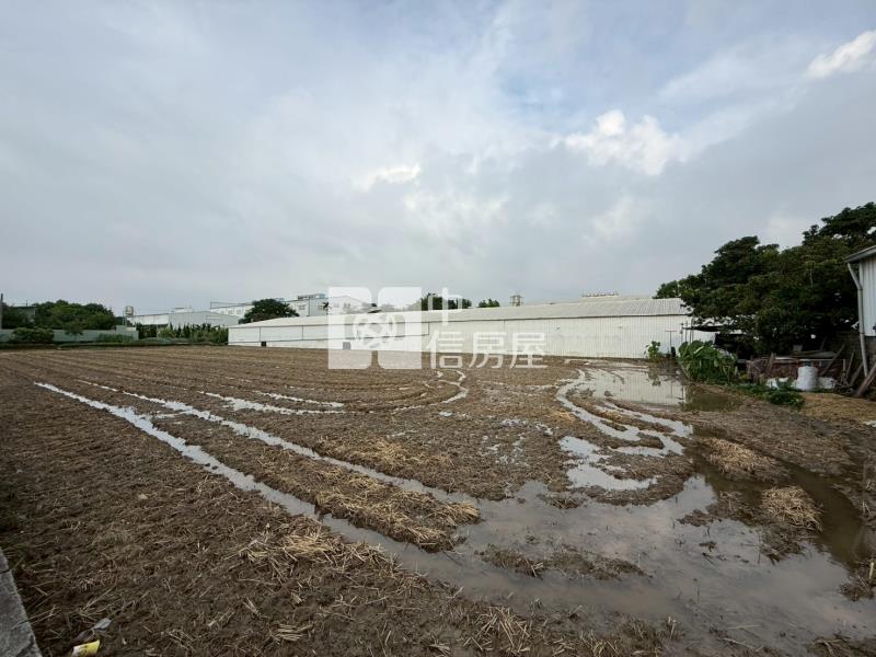 大雅合法溫室廠房農地房屋室內格局與周邊環境