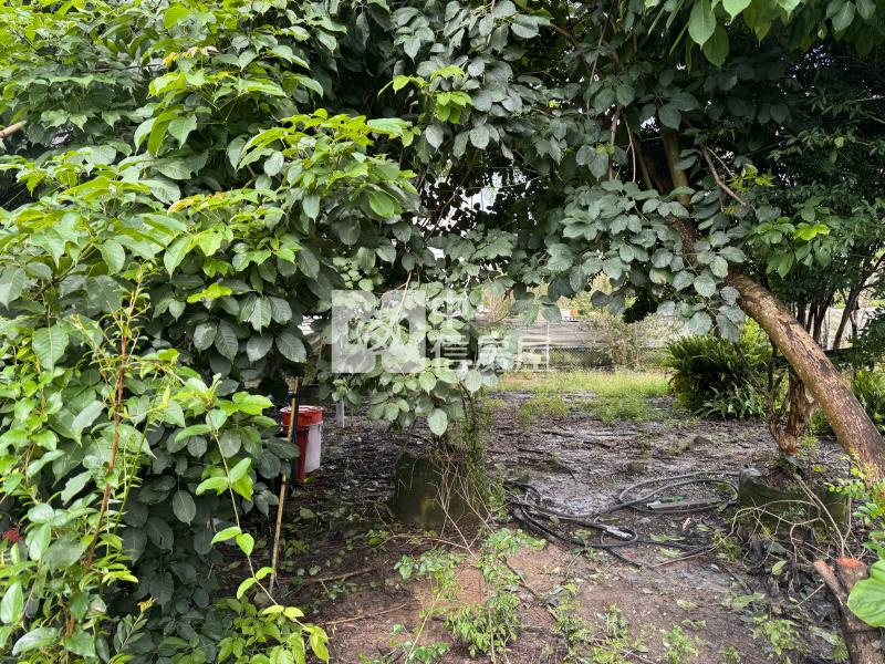 籃城田房屋室內格局與周邊環境