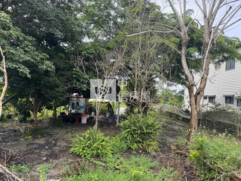 籃城田房屋室內格局與周邊環境