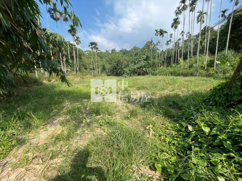 北屯晏山林旁漂亮平坦綠地A(前戶)房屋室內格局與周邊環境