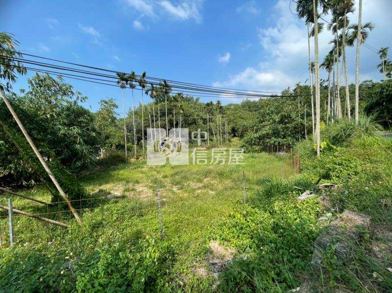 北屯晏山林旁漂亮平坦綠地A(前戶)房屋室內格局與周邊環境