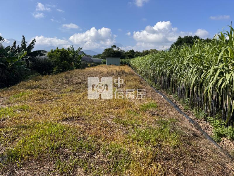 北梅小田房屋室內格局與周邊環境