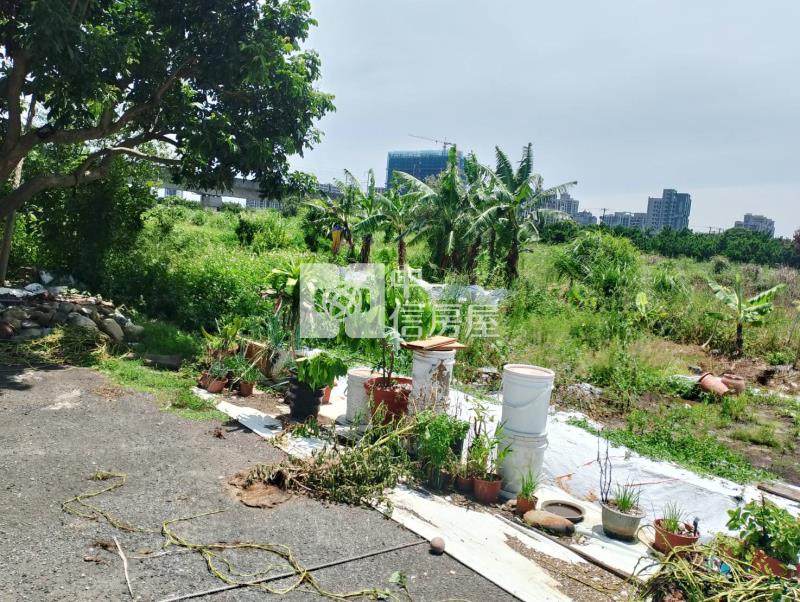 近台31線過嶺合法農舍+農地房屋室內格局與周邊環境